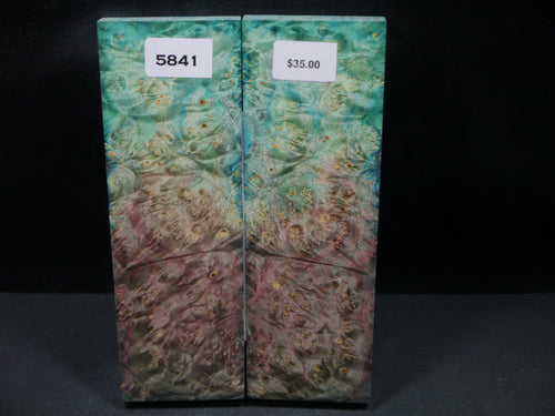 Stabilized Double Dyed Box Elder Scales SW5841