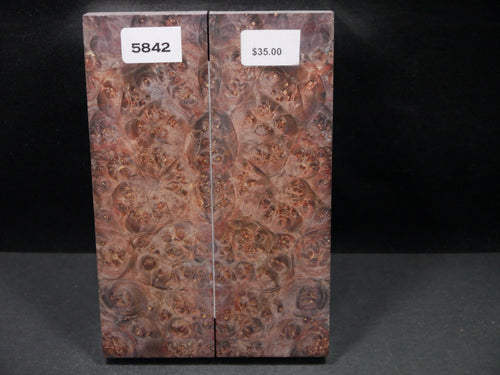Stabilized Double Dyed Box Elder Scales SW5842