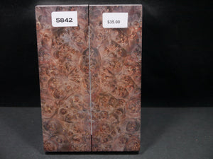 Stabilized Double Dyed Box Elder Scales SW5842