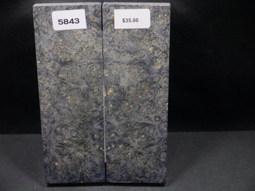 Stabilized Double Dyed Box Elder Scales SW5843