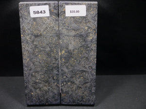 Stabilized Double Dyed Box Elder Scales SW5843