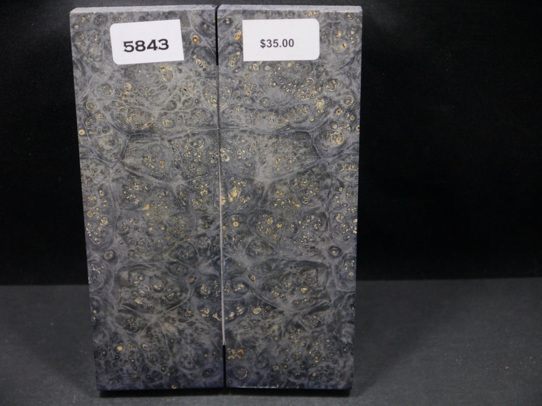 Stabilized Double Dyed Box Elder Scales SW5843
