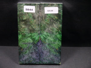 Stabilized Double Dyed Box Elder Scales SW5844