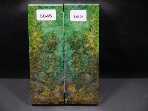 Stabilized Double Dyed Box Elder Scales SW5845
