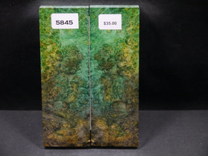 Stabilized Double Dyed Box Elder Scales SW5845