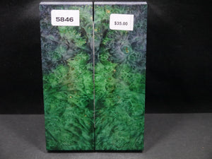 Stabilized Double Dyed Box Elder Scales SW5846