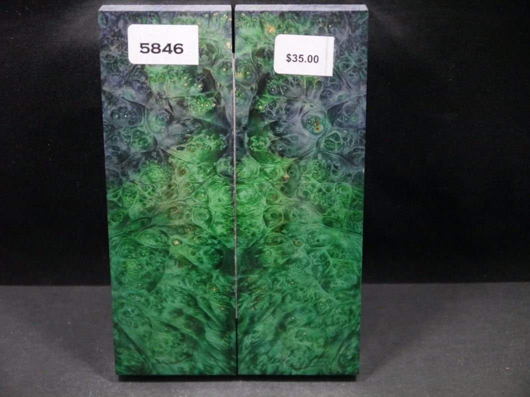 Stabilized Double Dyed Box Elder Scales SW5846