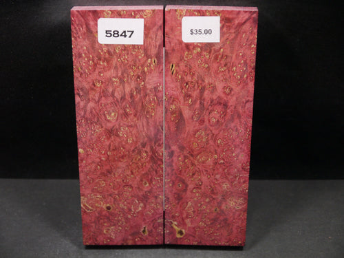 Stabilized Double Dyed Box Elder Scales SW5847