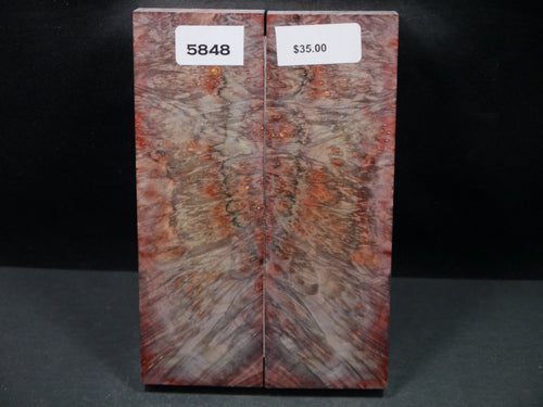 Stabilized Double Dyed Box Elder Scales SW5848
