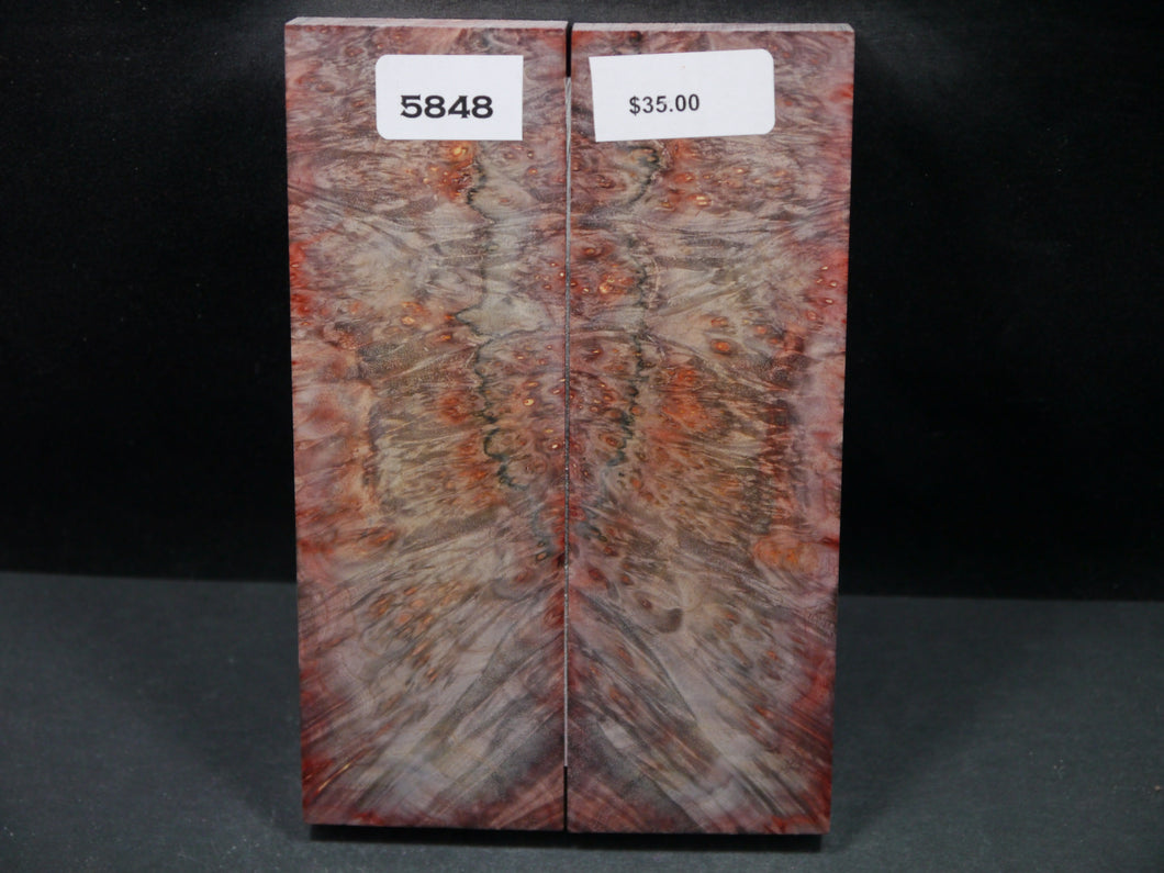 Stabilized Double Dyed Box Elder Scales SW5848