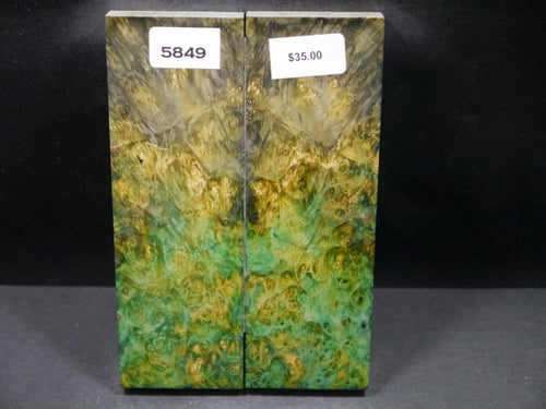 Stabilized Double Dyed Box Elder Scales SW5849