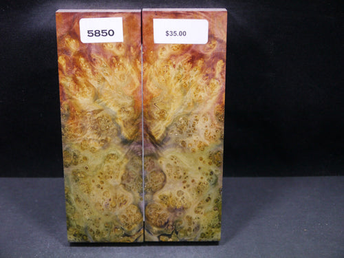 Stabilized Double Dyed Box Elder Scales SW5850
