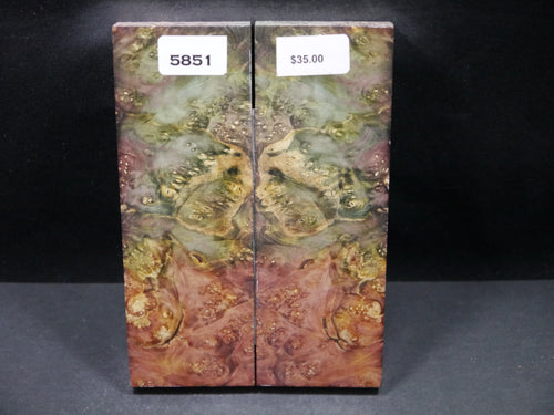 Stabilized Double Dyed Box Elder Scales SW5851