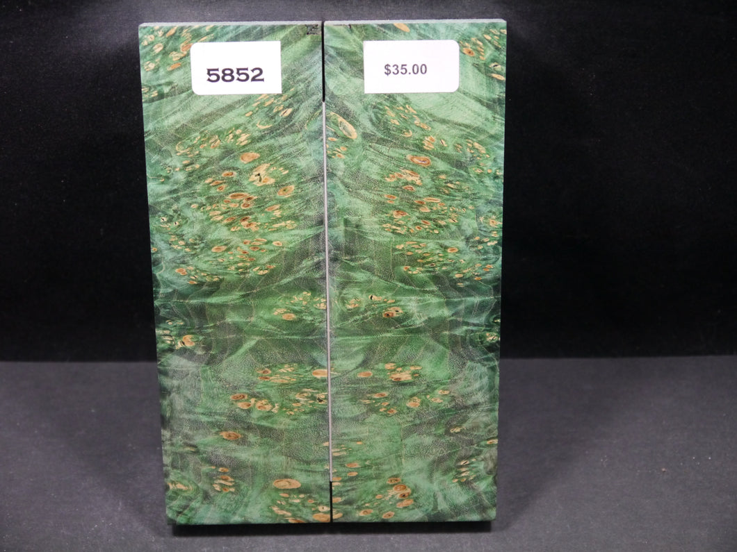 Stabilized Double Dyed Box Elder Scales SW5852
