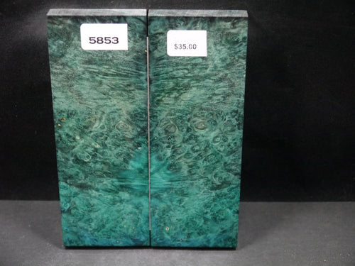 Stabilized Double Dyed Box Elder Scales SW5853