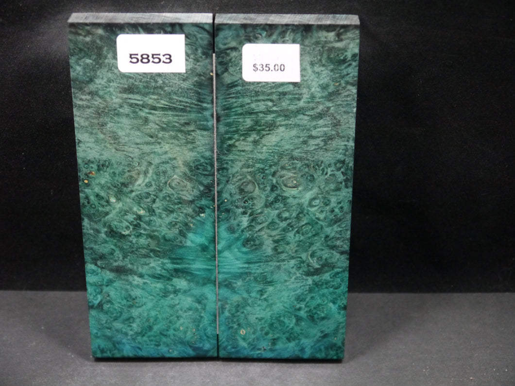 Stabilized Double Dyed Box Elder Scales SW5853