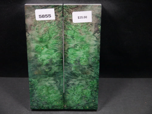 Stabilized Double Dyed Box Elder Scales SW5855