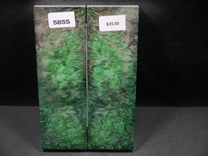 Stabilized Double Dyed Box Elder Scales SW5855