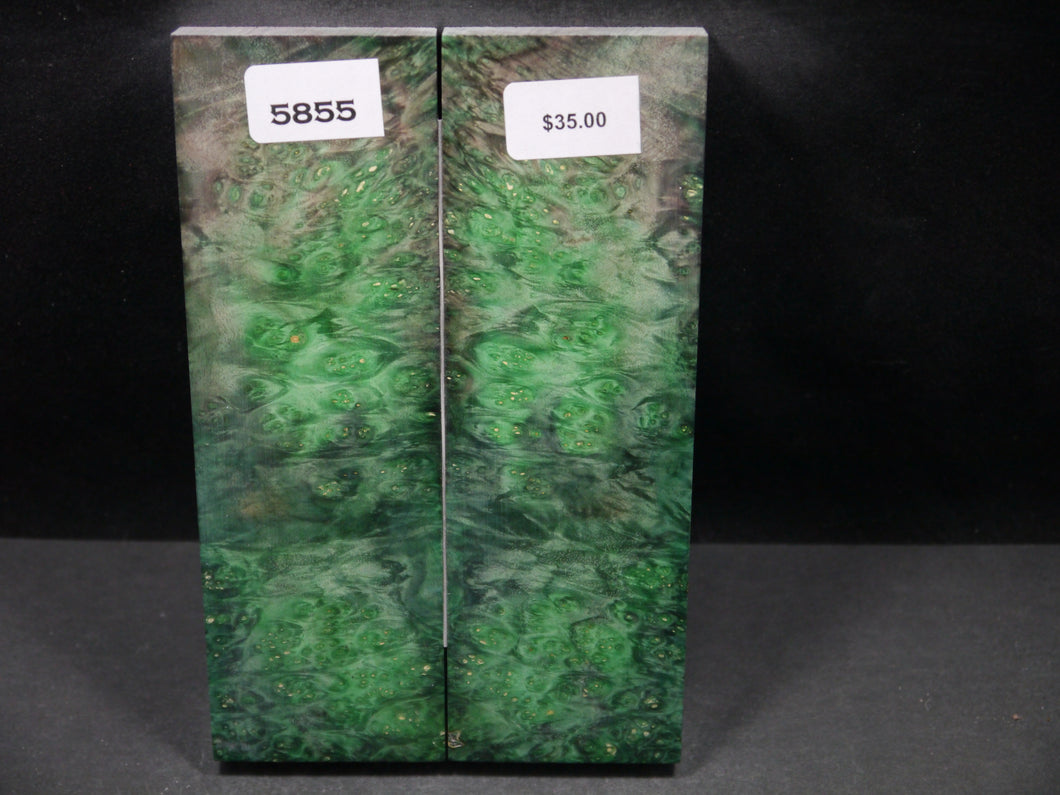 Stabilized Double Dyed Box Elder Scales SW5855