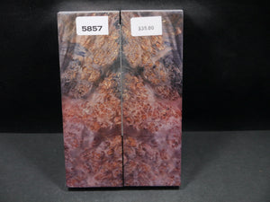 Stabilized Double Dyed Box Elder Scales SW5857