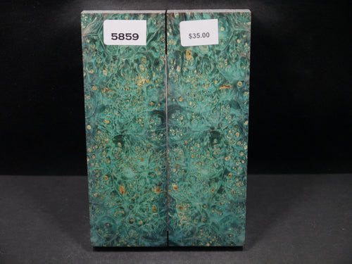 Stabilized Double Dyed Box Elder Scales SW5859