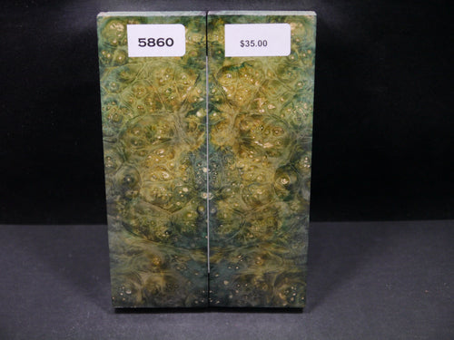 Stabilized Double Dyed Box Elder Scales SW5860