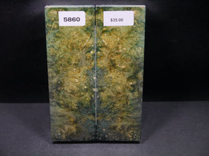Stabilized Double Dyed Box Elder Scales SW5860