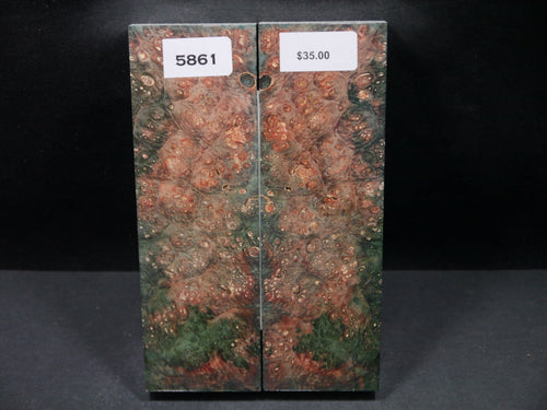 Stabilized Double Dyed Box Elder Scales SW5861