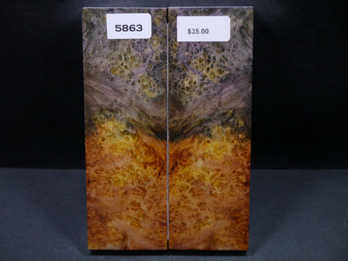 Stabilized Double Dyed Box Elder Scales SW5863