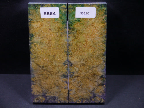 Stabilized Double Dyed Box Elder Scales SW5864