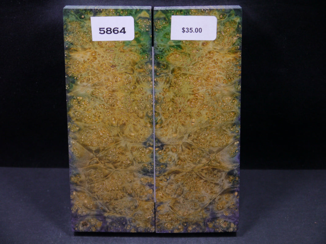 Stabilized Double Dyed Box Elder Scales SW5864