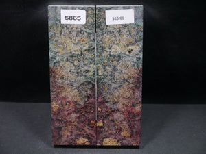 Stabilized Double Dyed Box Elder Scales SW5865