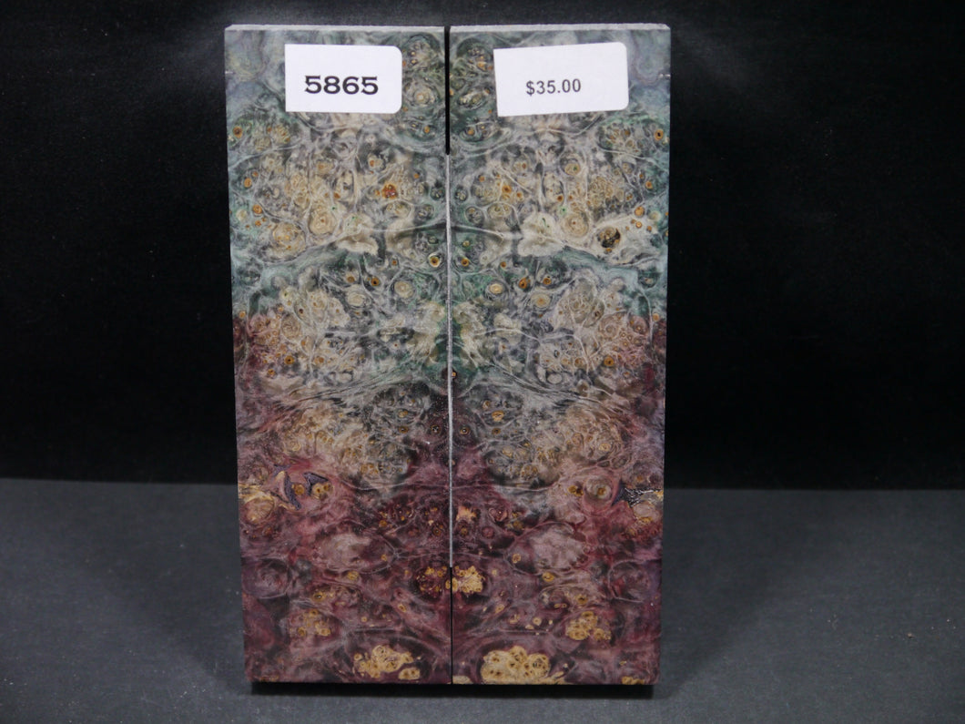 Stabilized Double Dyed Box Elder Scales SW5865