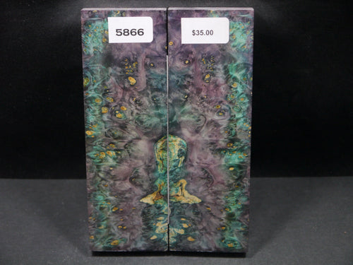 Stabilized Double Dyed Box Elder Scales SW5866