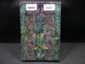 Stabilized Double Dyed Box Elder Scales SW5866