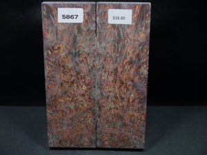 Stabilized Double Dyed Box Elder Scales SW5867