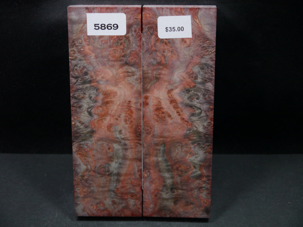 Stabilized Double Dyed Box Elder Scales SW5869