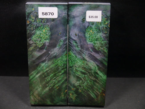 Stabilized Double Dyed Box Elder Scales SW5870