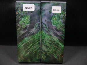 Stabilized Double Dyed Box Elder Scales SW5870