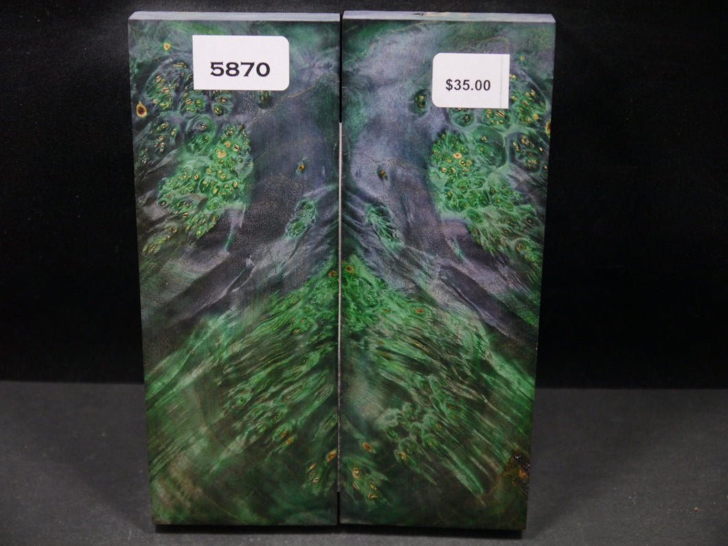 Stabilized Double Dyed Box Elder Scales SW5870