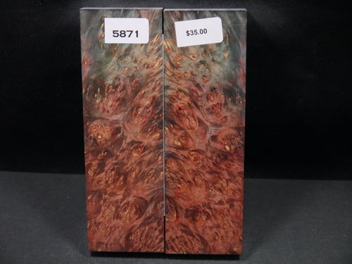Stabilized Double Dyed Box Elder Scales SW5871