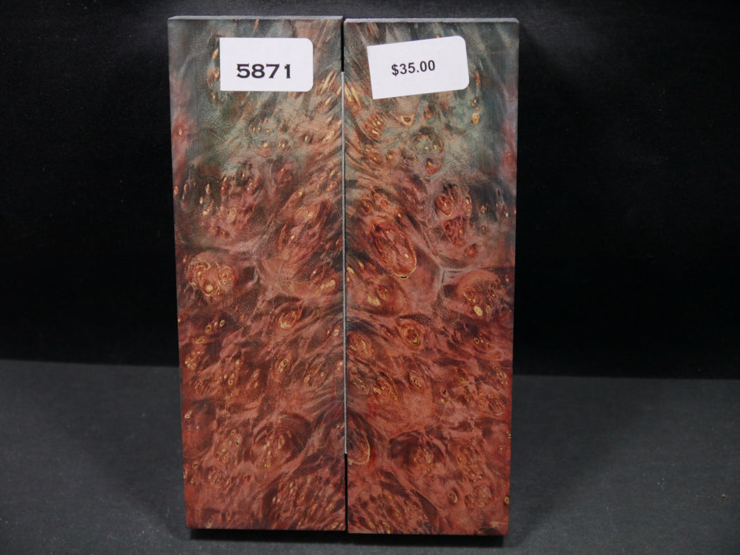 Stabilized Double Dyed Box Elder Scales SW5871