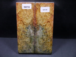 Stabilized Double Dyed Box Elder Scales SW5872