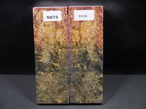 Stabilized Double Dyed Box Elder Scales SW5873