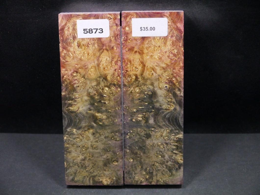 Stabilized Double Dyed Box Elder Scales SW5873