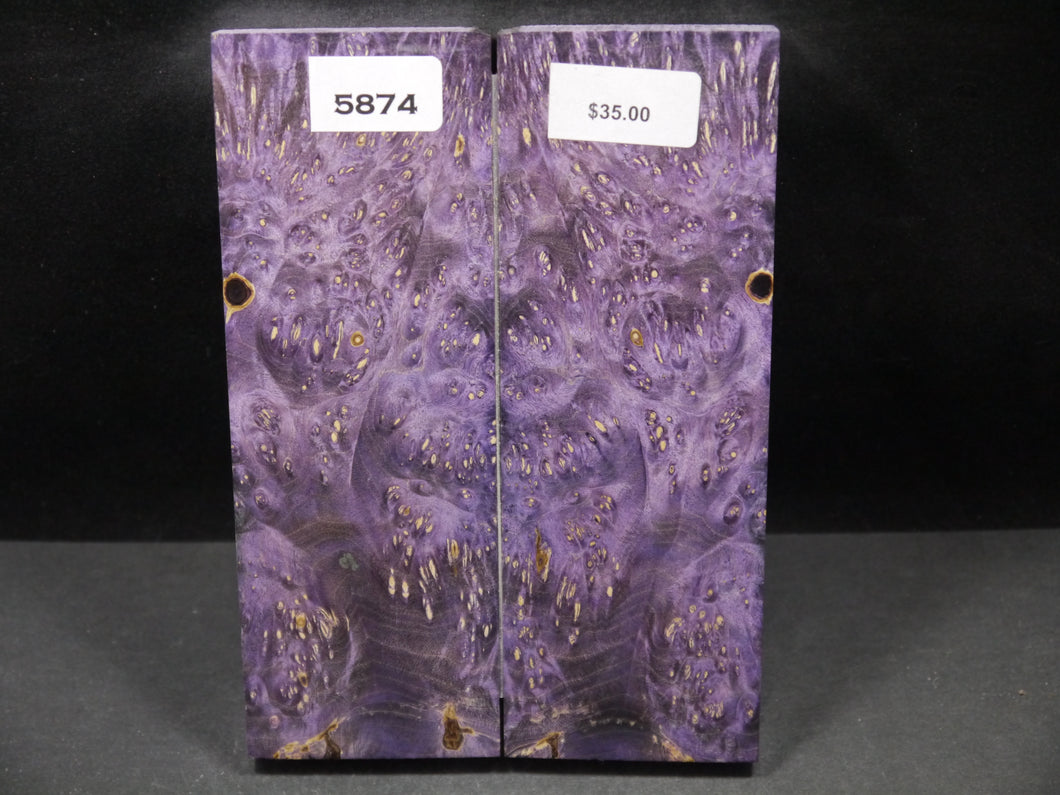 Stabilized Double Dyed Box Elder Scales SW5874