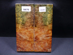 Stabilized Double Dyed Box Elder Scales SW5875