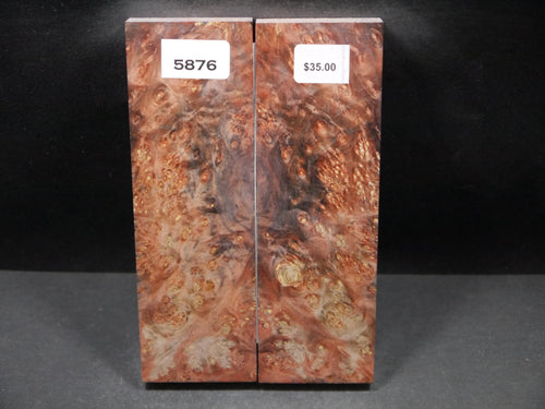 Stabilized Double Dyed Box Elder Scales SW5876