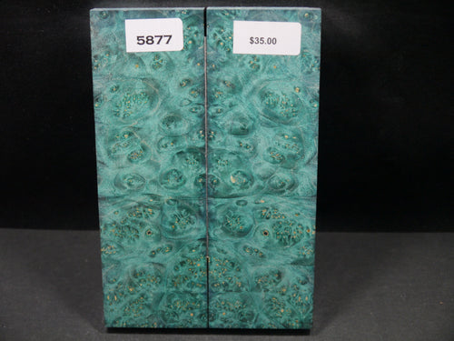 Stabilized Double Dyed Box Elder Scales SW5877