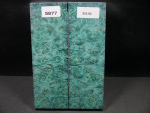 Stabilized Double Dyed Box Elder Scales SW5877